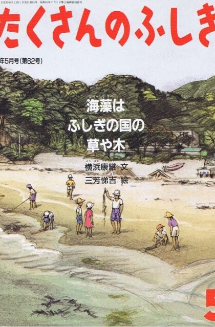 海藻はふしぎの国の草や木　たくさんのふしぎ　通巻６２号　（１９９０年５月号）