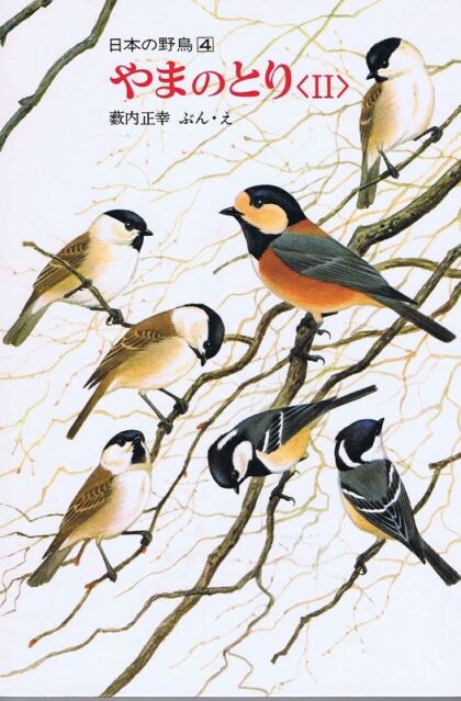 やまのとり２　日本の野鳥4　（福音館のかがくのほん）