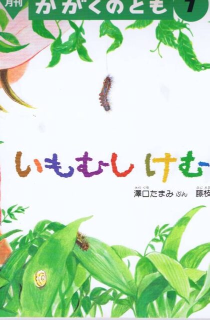 いもむし　けむし　かがくのとも　通巻304号　（１９９４年７月号）　※折り込みふろくあり