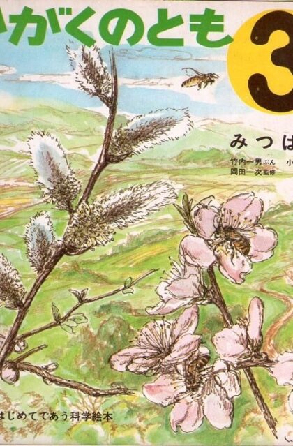 みつばち　かがくのとも　通巻１２号　（１９７０年３月号）　はじめてであう科学絵本