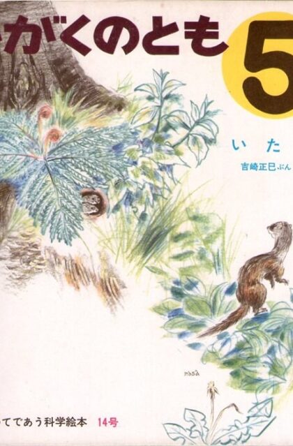 いたち　かがくのとも　通巻１４号　（１９７０年５月号）　はじめてであう科学絵本　※折り込みふろくあり