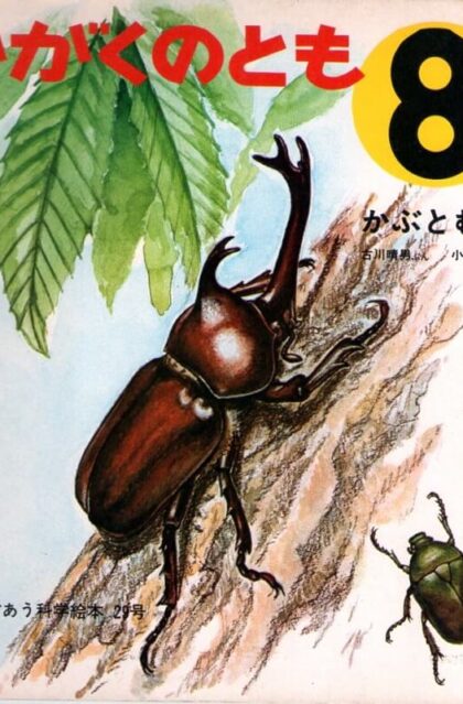 かぶとむし　かがくのとも　通巻２９号　（１９７１年８月号）　はじめてであう科学絵本