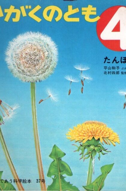 たんぽぽ　かがくのとも　通巻３７号　（１９７２年４月号）　はじめてであう科学絵本
