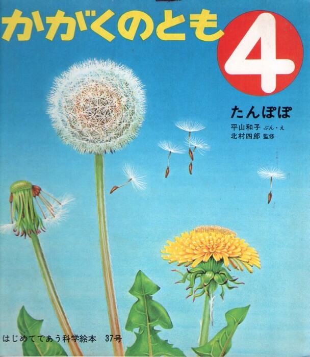 古本なちぐろ堂　札幌の古書店　通巻３７号　たんぽぽ　はじめてであう科学絵本　–　かがくのとも　（１９７２年４月号）