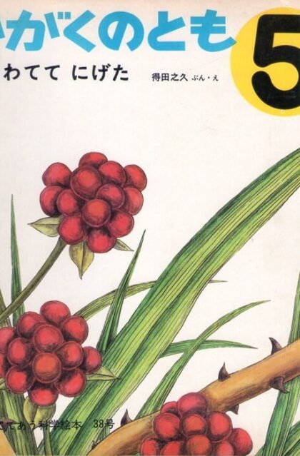 あわてて　にげた　かがくのとも　通巻３８号　（１９７２年５月号）　はじめてであう科学絵本