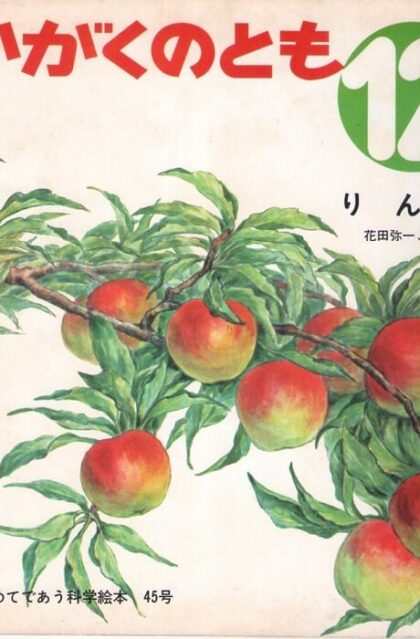 りんご　かがくのとも　通巻４５号　（１９７２年１２月号）　はじめてであう科学絵本