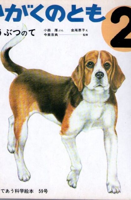 どうぶつのて　かがくのとも　通巻５９号　（１９７４年２月号）　はじめてであう科学絵本　※折り込みふろくあり