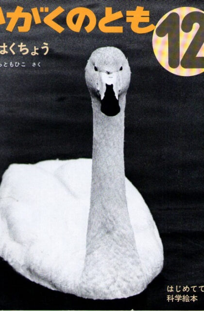 おおはくちょう　かがくのとも　通巻６９号　（１９７４年１２月号）　※折り込み付ろくあり