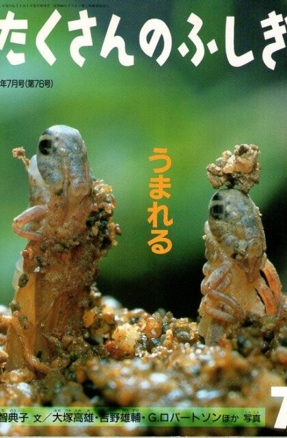 うまれる　たくさんのふしぎ　１９９１年７月号　７６号