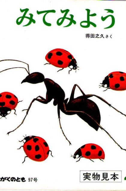 みてみよう　こんちゅうのからだ　かがくのとも　通巻９７号　（１９７７年４月号）　※折り込み付ろくあり