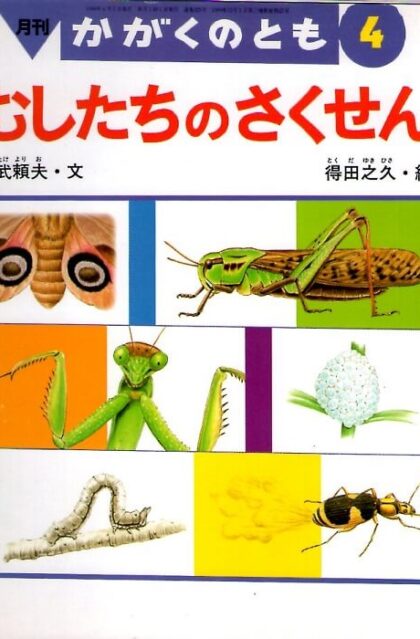 むしたちのさくせん　かがくのとも　通巻３２５号　（１９９６年４月号）　※折り込みふろくあり