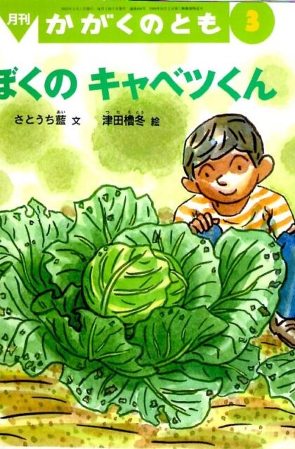 ぼくのキャベツくん　かがくのとも　通巻４０８号　（２００３年３月号）