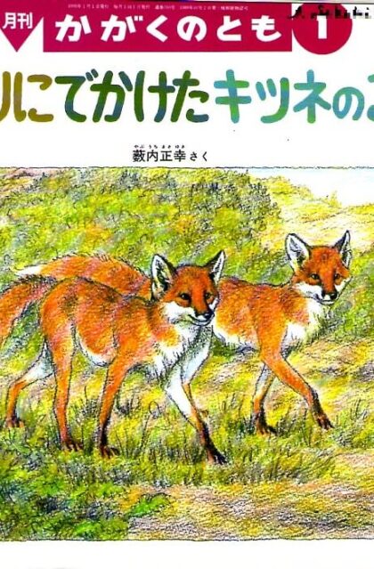 かりにでかけたキツネのこ　かがくのとも　通巻３１０号　（1995年１月号）　※どうぶつタイムス70号あり