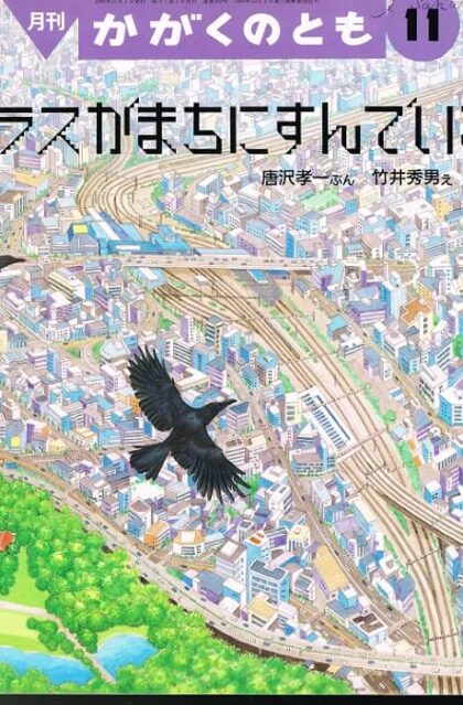 カラスがまちにすんでいる　かがくのとも　通巻２６０号　（１９９０年１１月号）　※折り込みふろくあり