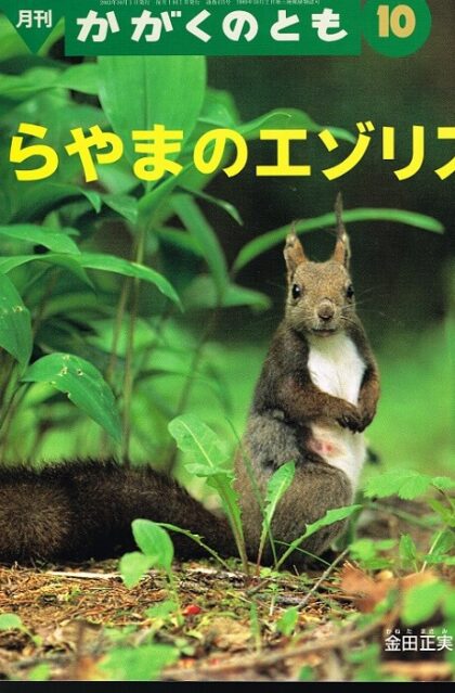 うらやまのエゾリス　かがくのとも　通巻４１５号　（２００３年１０月号）