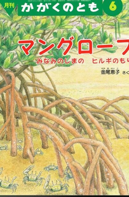 マングローブ　みなみのしまの　ヒルギのもり　かがくのとも　通巻４３５号　（２００５年６月号）　※折り込みふろくあり