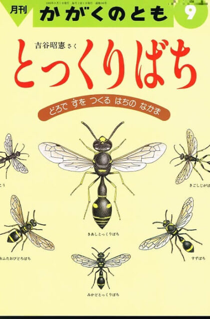 とっくりばち　どろですをつくるはちのなかま　かがくのとも　通巻２４６号　（１９８６年９月号）　※折り込みふろくあり