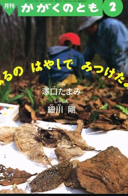 はるのはやしでみつけたよ　かがくのとも　通巻３３５号　（１９９７年２月号）