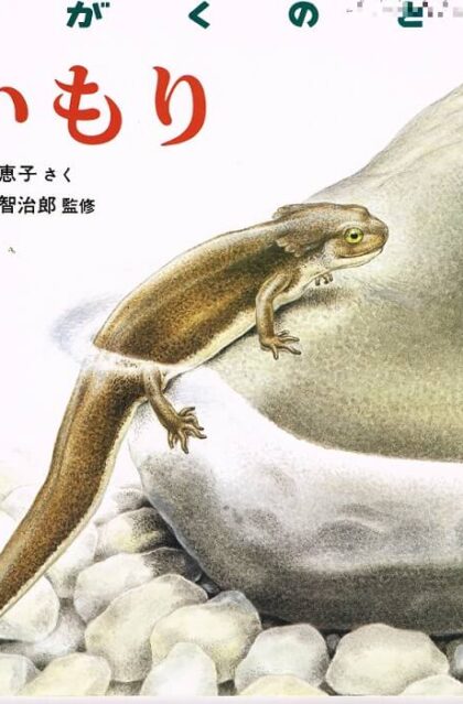 いもり　かがくのとも　通巻２２０号　（１９８７年７月号）