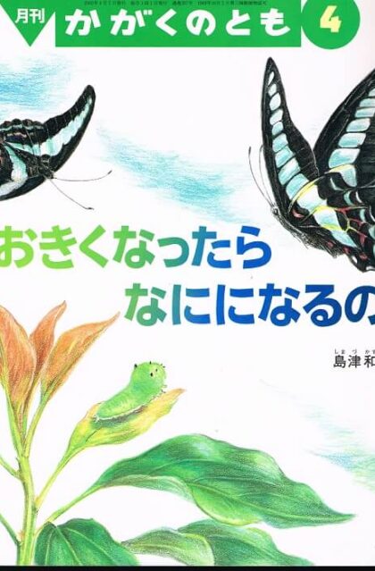 おおきくなったら　なにになるの？　かがくのとも　通巻３９７号　（２００２年４月号）　※折り込みふろくあり