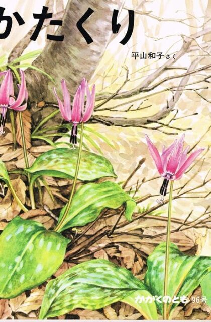 かたくり　かがくのとも　通巻９６号　（１９７７年３月号）　※折り込みふろくあり