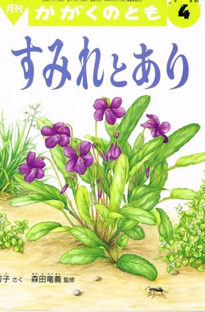 すみれとあり　かがくのとも　通巻３１３号　（１９９５年４月号）　※折り込みふろくあり