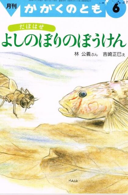 だぼはぜ　よしのぼりのぼうけん　かがくのとも　通巻２５５号　（１９９０年６月号）　※折り込みふろくあり