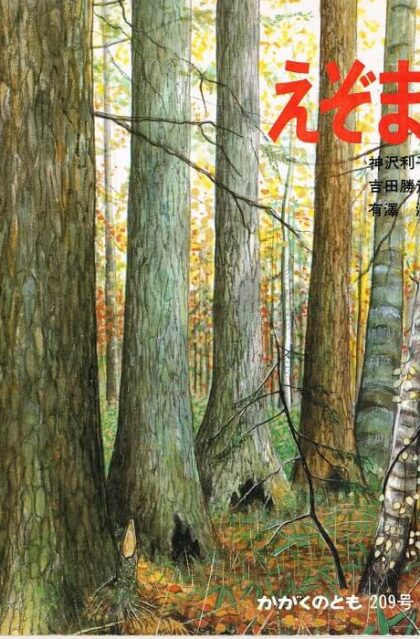 えぞまつ　かがくのとも　通巻２０９号　（１９８６年８月号）