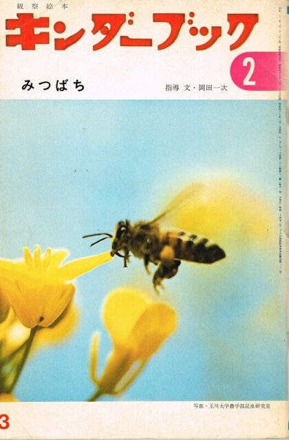 みつばち　キンダーブック　観察絵本　（第２６集１２編　１９７２年３月号）
