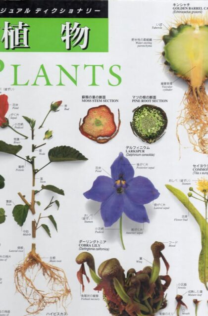 植物 PLANTS (ビジュアルディクショナリー5)